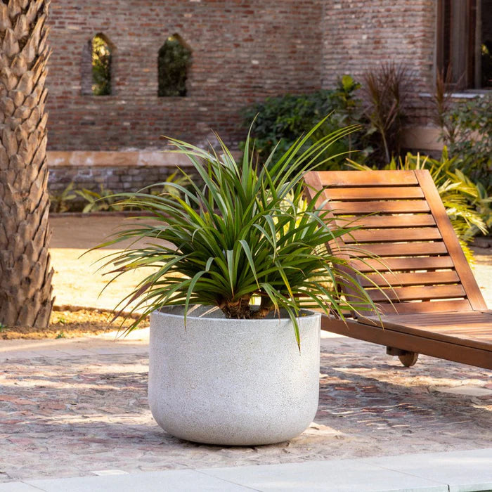 FLORENCE PLANTER - SET OF 2