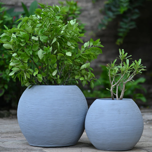 BULBOUS PLANTER