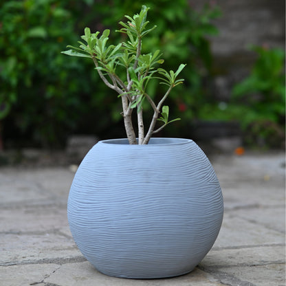 BULBOUS PLANTER