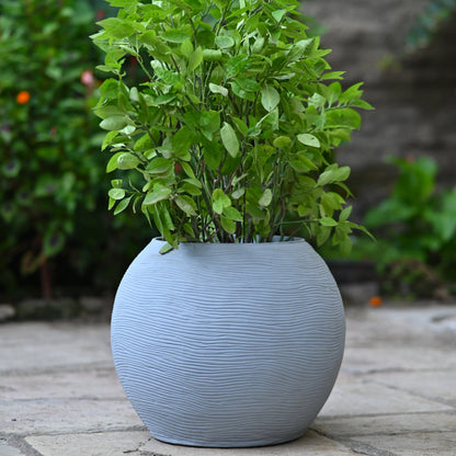 BULBOUS PLANTER