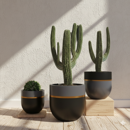 THE MIDAS PLANTER (Set of 3)