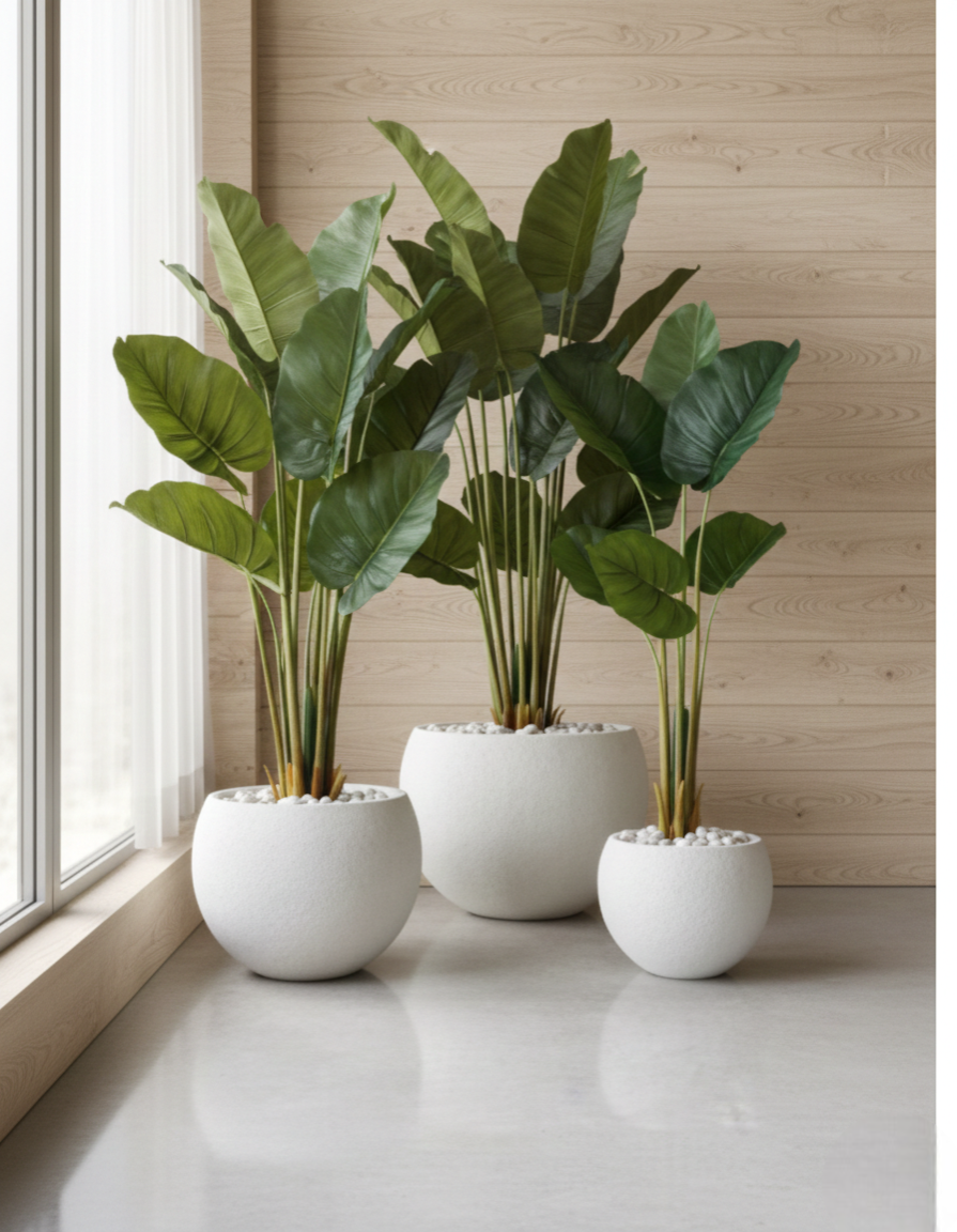 THE VERDANT TRIPTYCH (SET OF 3)