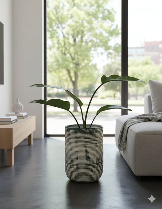 AUSTRALIAS AMPHORA PLANTER