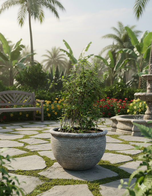 EMBERFLARE CASK PLANTER