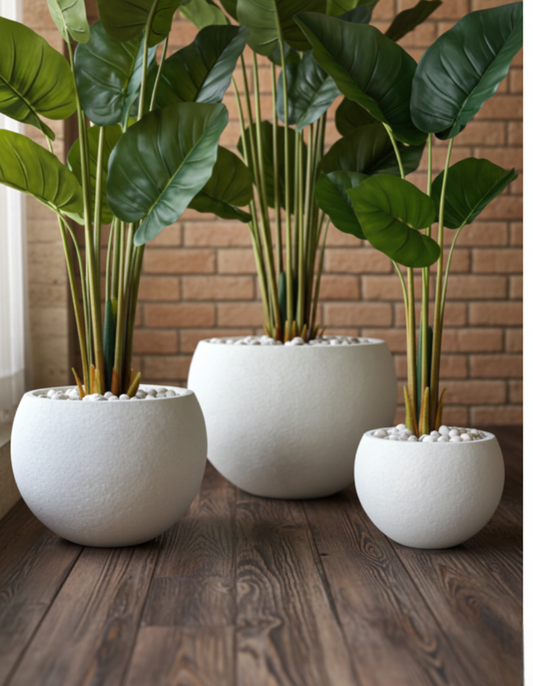 THE VERDANT TRIPTYCH (SET OF 3)