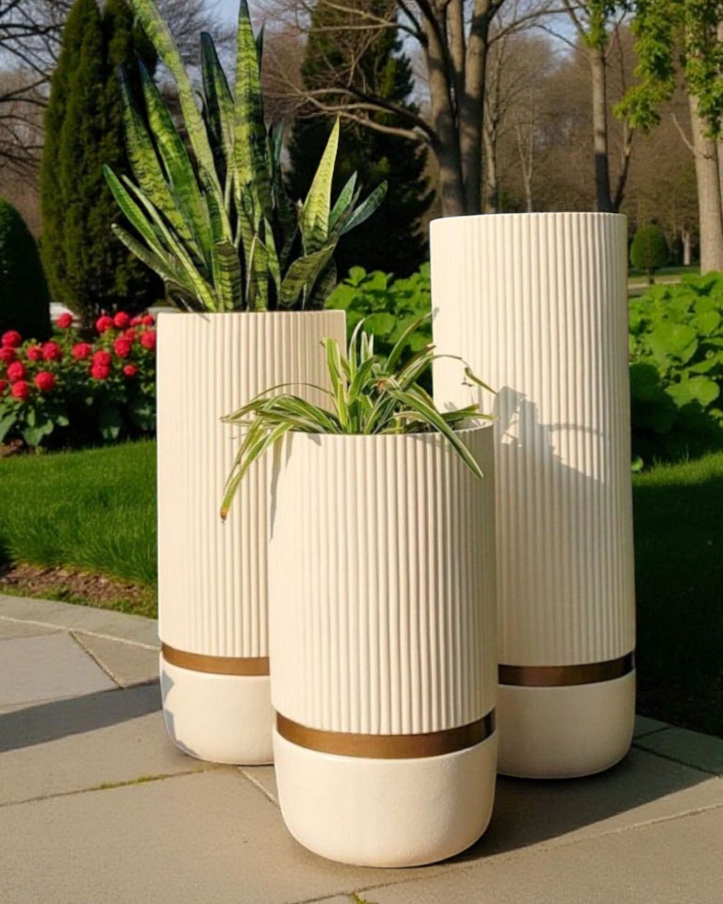LIVSTA ( SET OF 3)