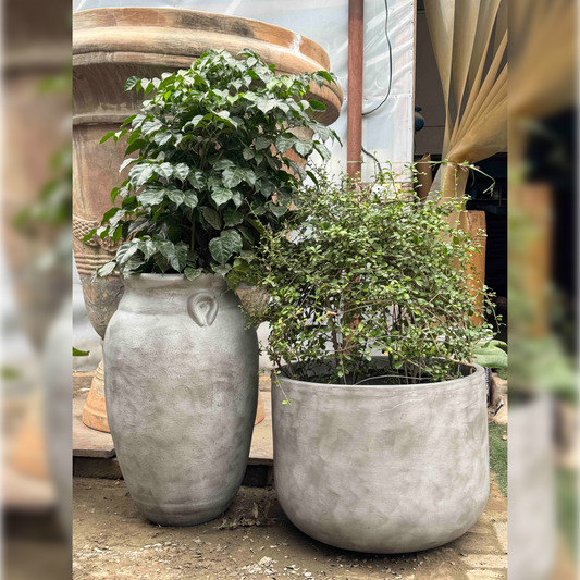 THE RENAISSANCE COURTYARD ( SET OF 2)