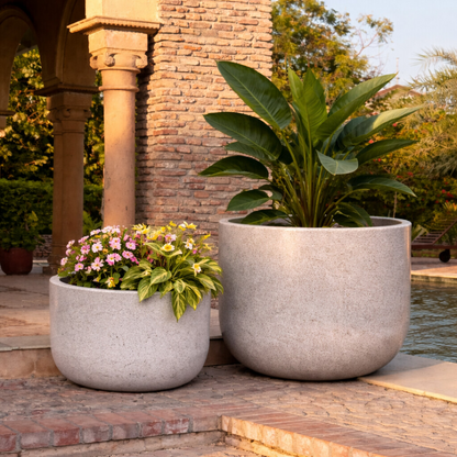 BOTANICA HAVEN ( SET OF 2)