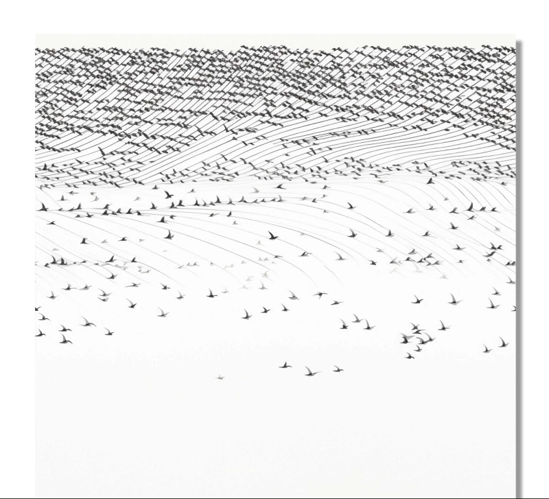 ARIEL SYMPHONY 6 - MONOCHROME