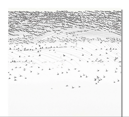 ARIEL SYMPHONY 6 - MONOCHROME