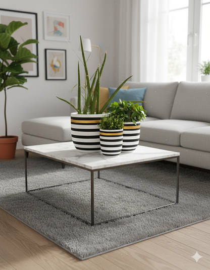 SAVORA LUXE TRIO (SET OF 3)