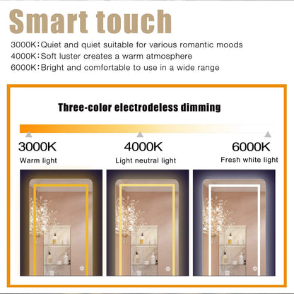 FULL LENGTH MIRROR WALL MOUNTED LIGHTED DRESSING MAKE UP MIRROR