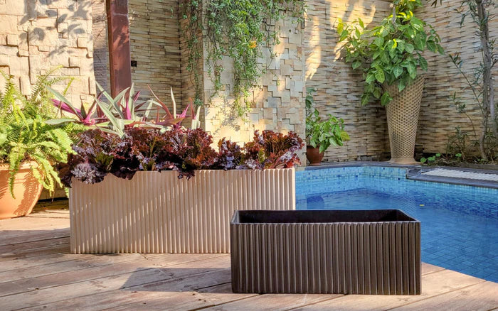 SMALL MIDORI PLANTER BOX WITH BASE