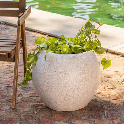 THEO PLANTER