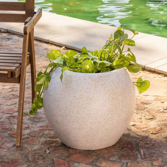 THEO PLANTER